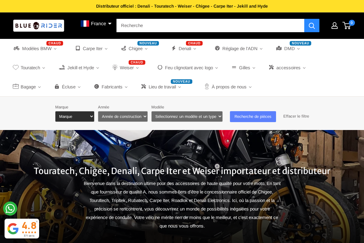 Blue Rider homepage screenshot