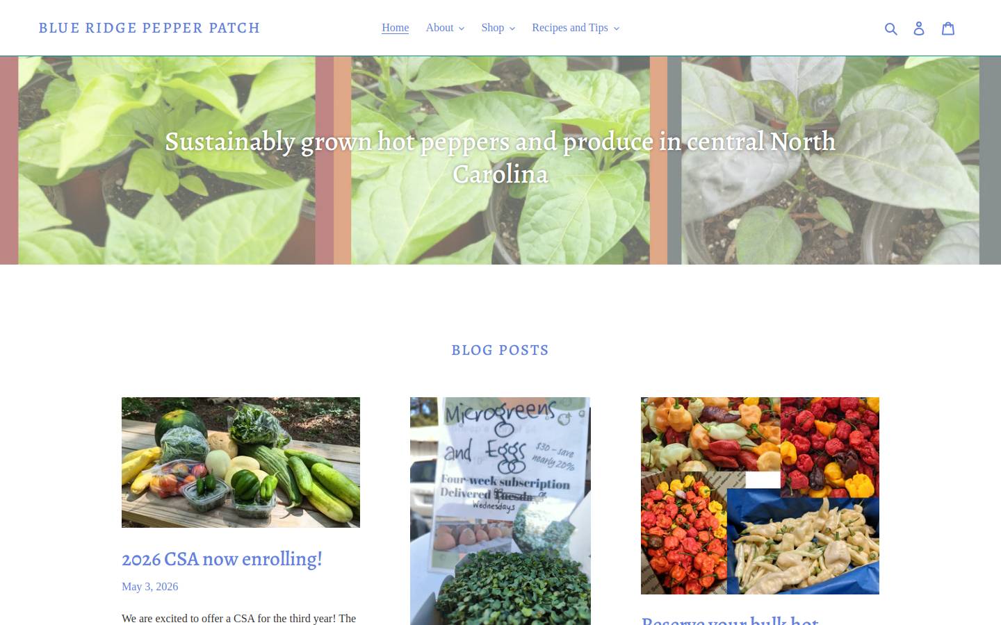 blueridgepepperpatch.com homepage screenshot