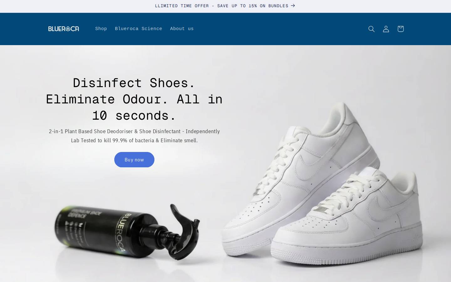 blueroca.com homepage screenshot