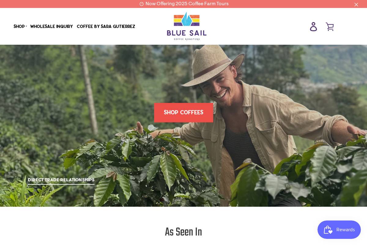 bluesailcoffee.com homepage screenshot