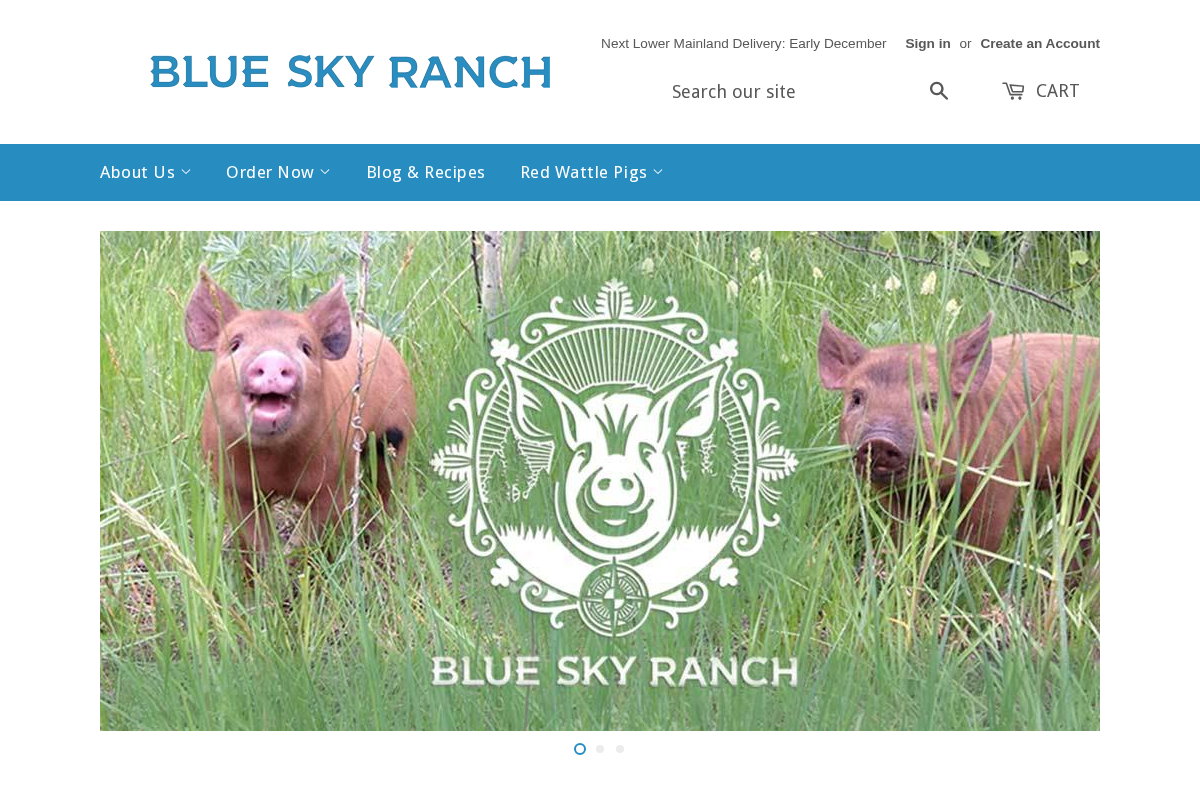 blueskyranch.ca homepage screenshot