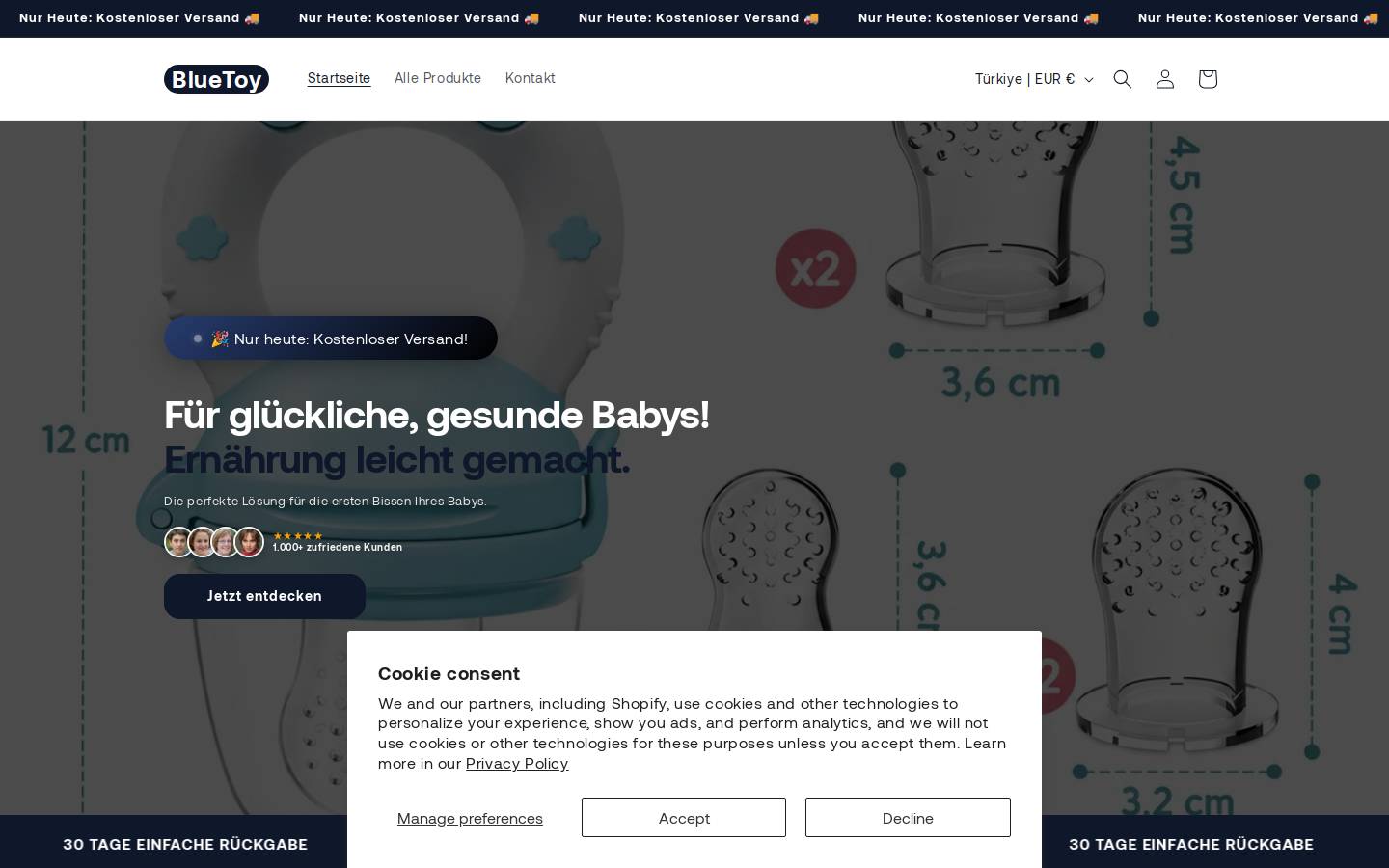 bluetoy.net homepage screenshot