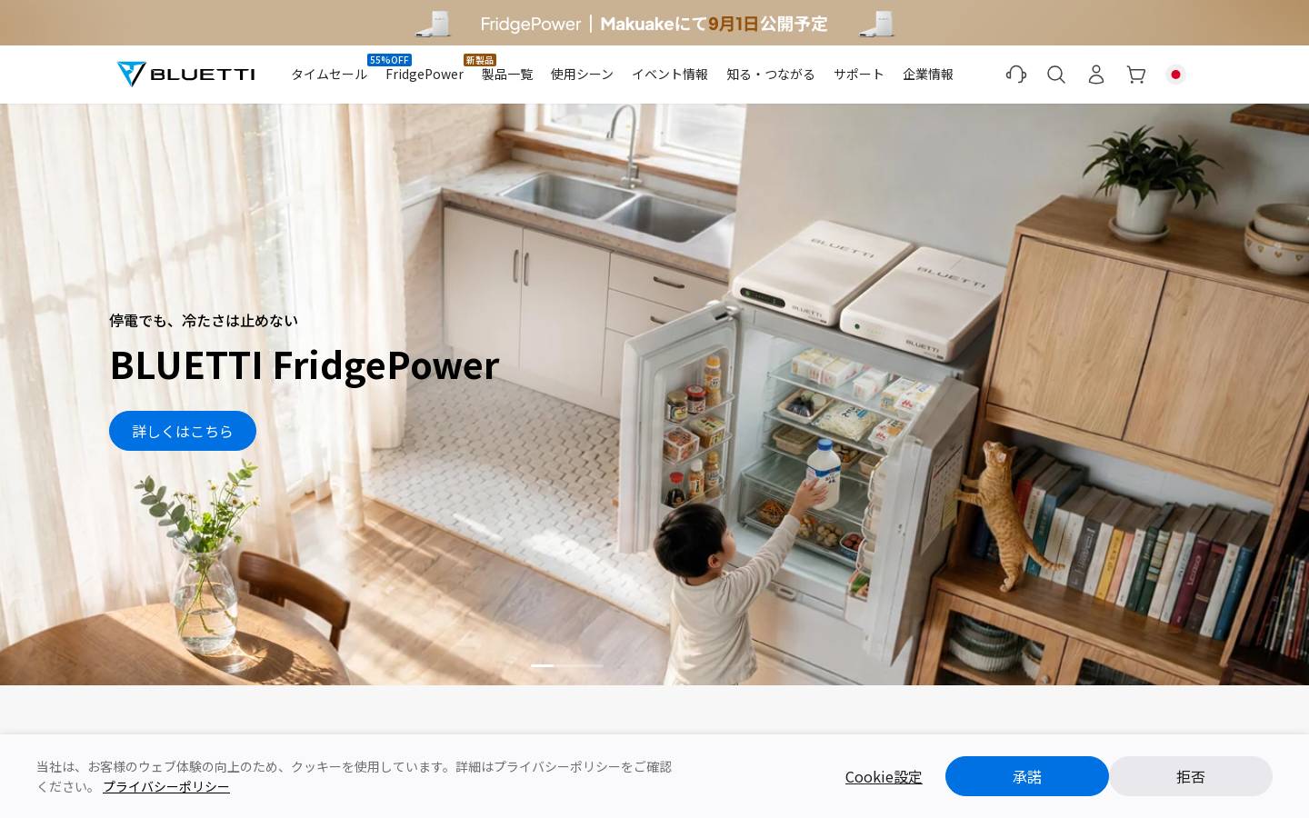 Bluetti homepage screenshot