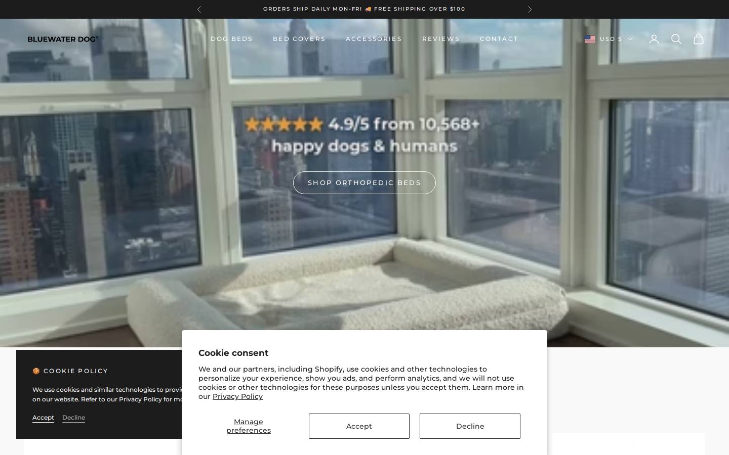 Bluewater Dog homepage screenshot