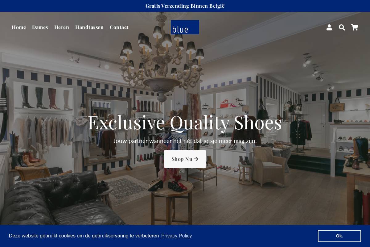 Bluewebshop, LLC homepage screenshot