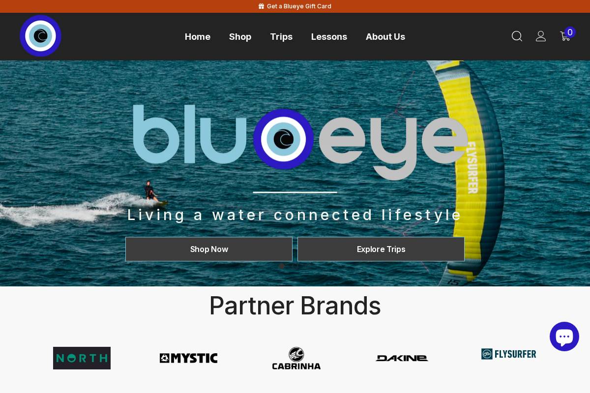 blueyegroup.com homepage screenshot