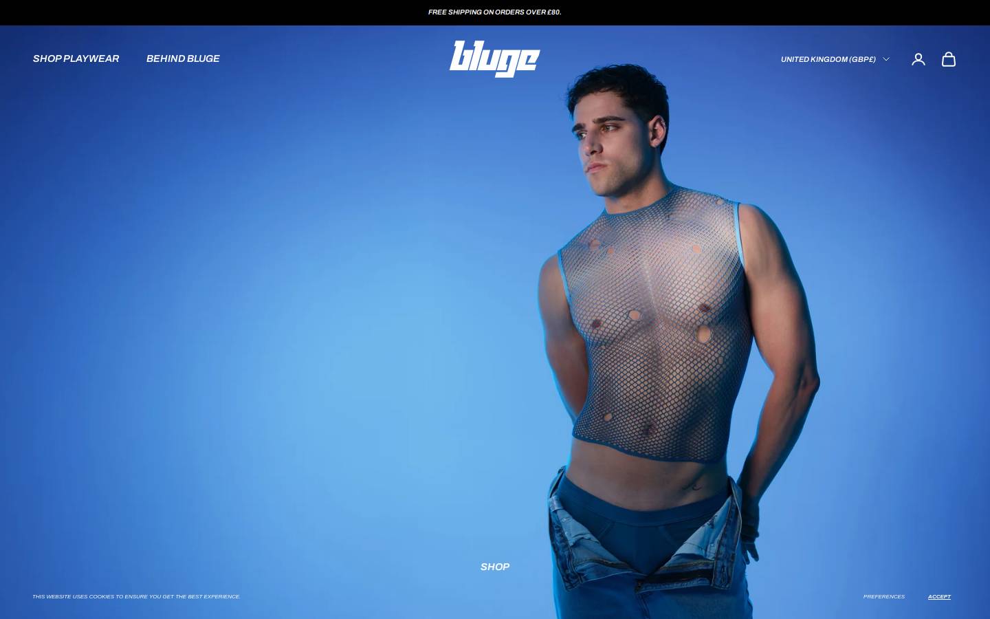 bluge.com homepage screenshot