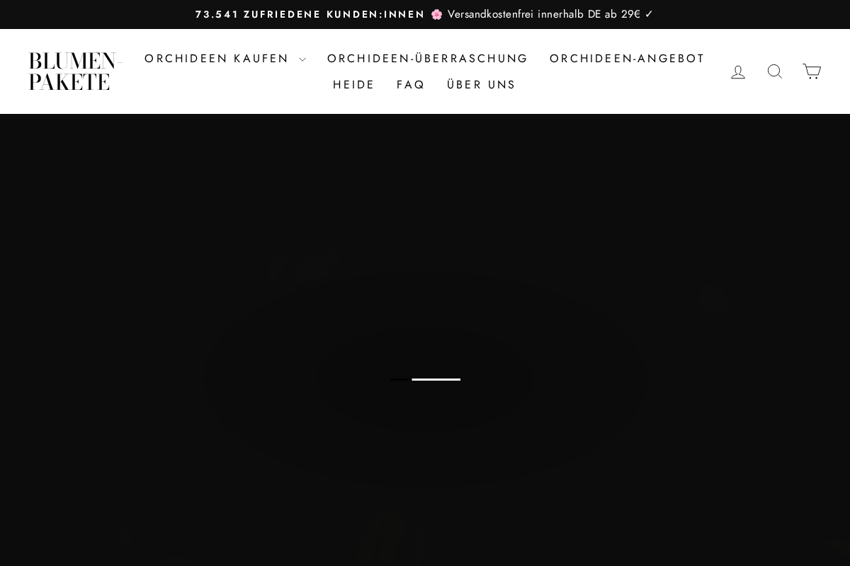 Blumen Pakete homepage screenshot