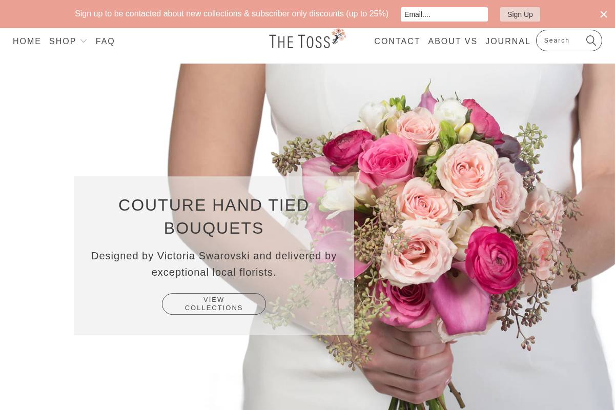 blumevs.com homepage screenshot