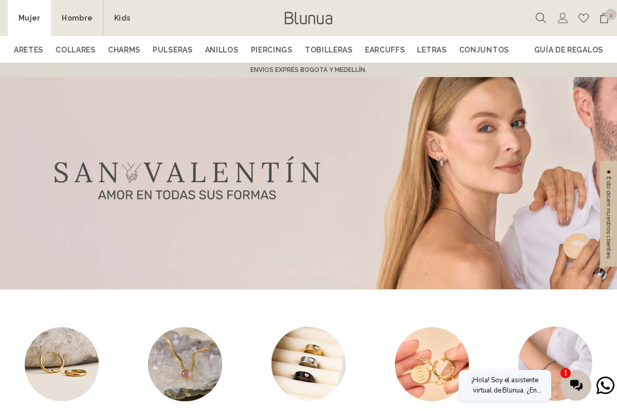 Blunua homepage screenshot