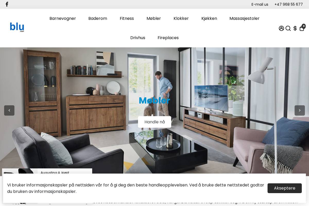 bluretailgroup.com homepage screenshot