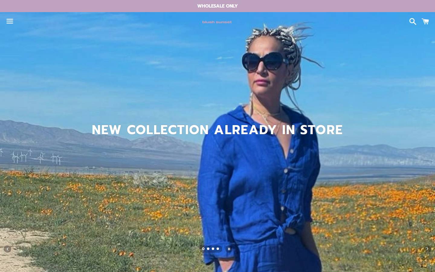 blushsunsetshop.com homepage screenshot