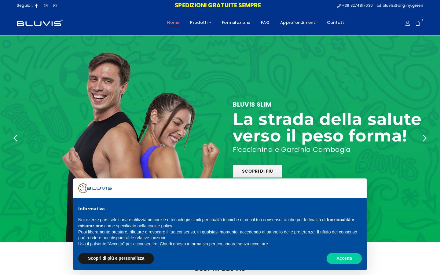 Bluvis homepage screenshot