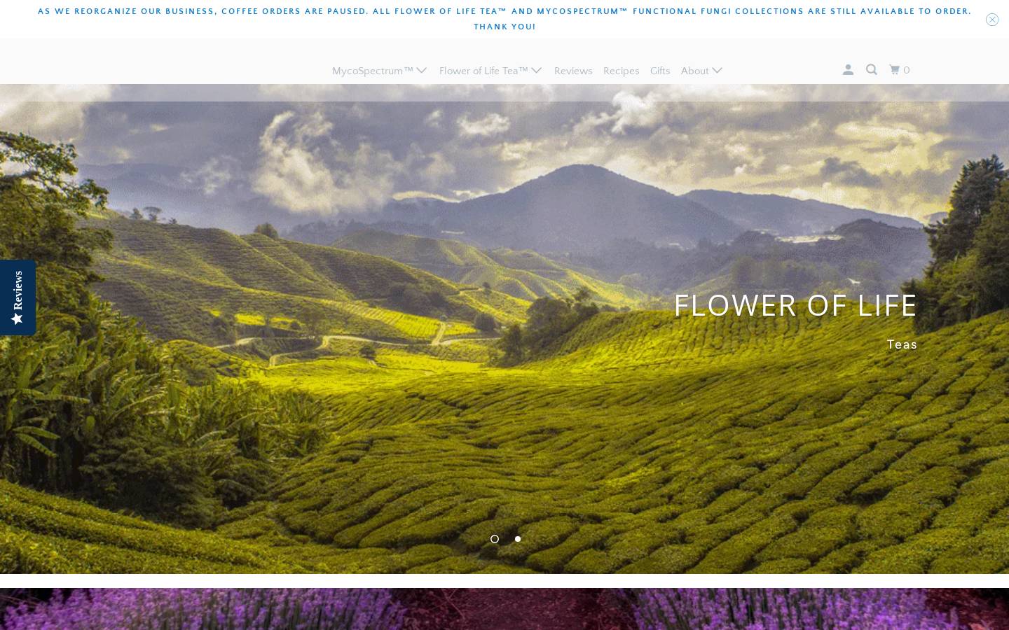 boardwalkbeans.com homepage screenshot