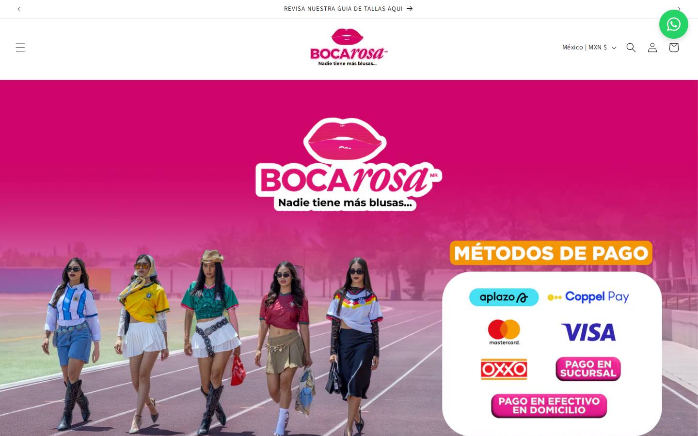 bocarosa.com.mx homepage screenshot