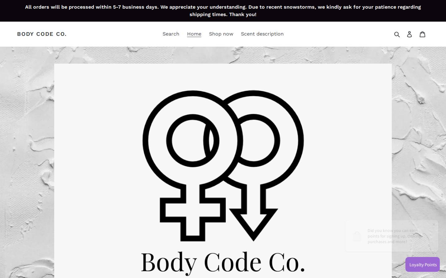 bodycodeco.com homepage screenshot