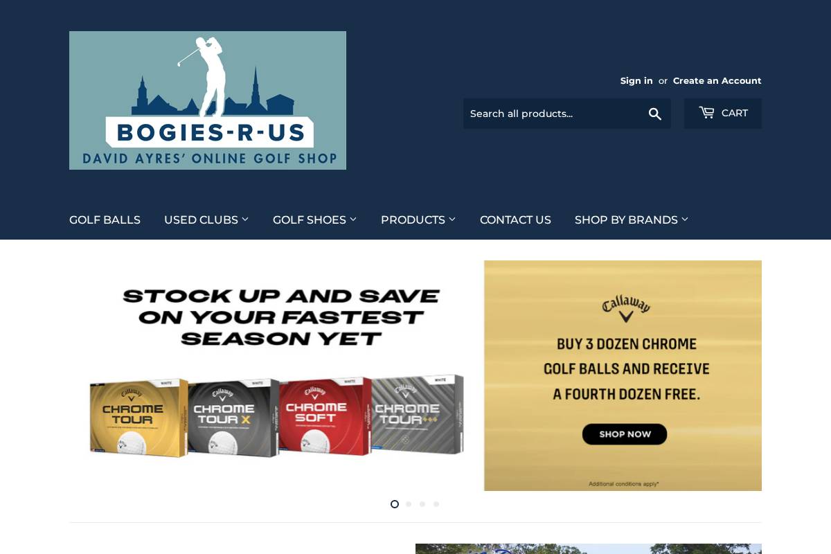 bogiesrus.com homepage screenshot