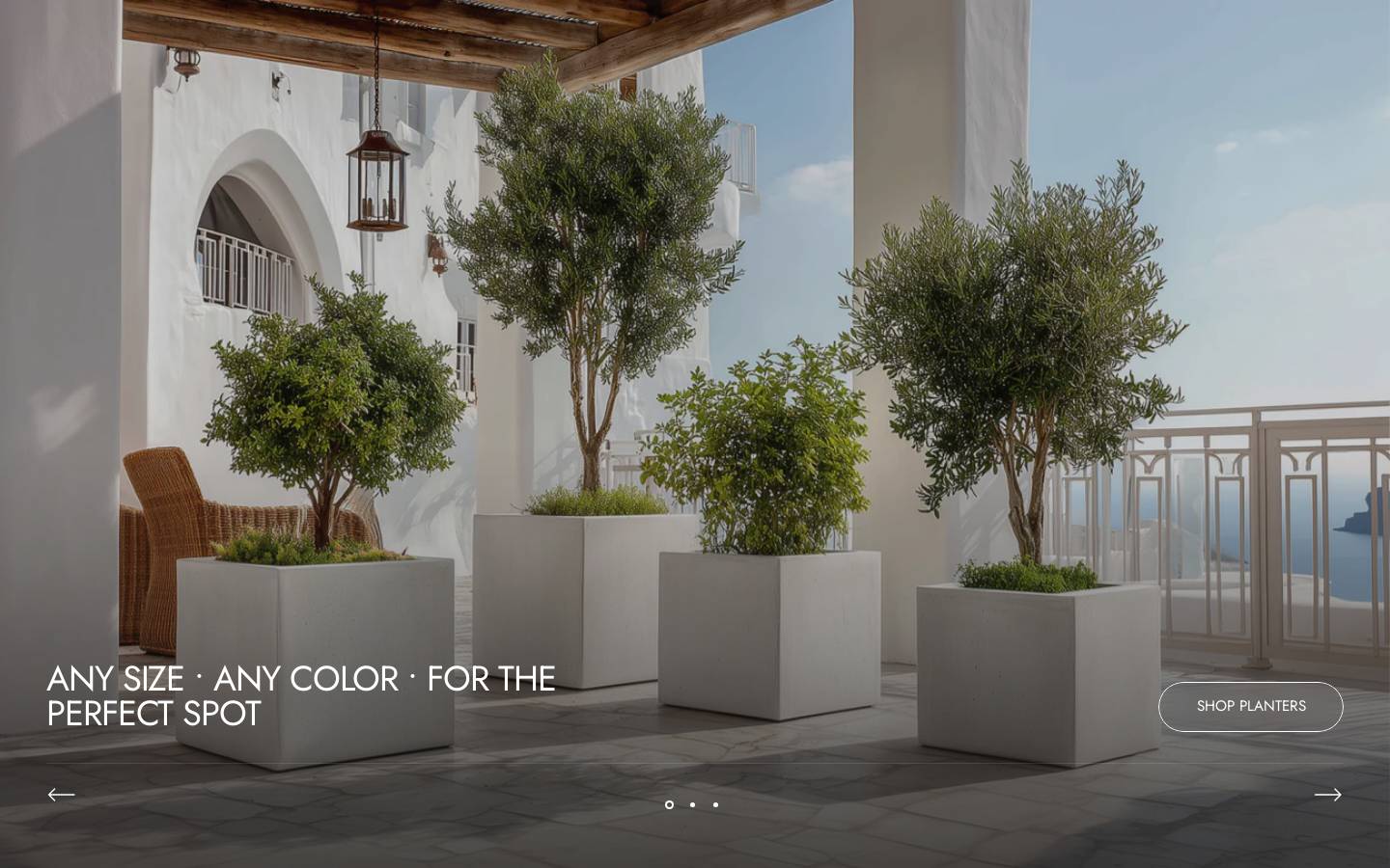 boldplanters.com homepage screenshot