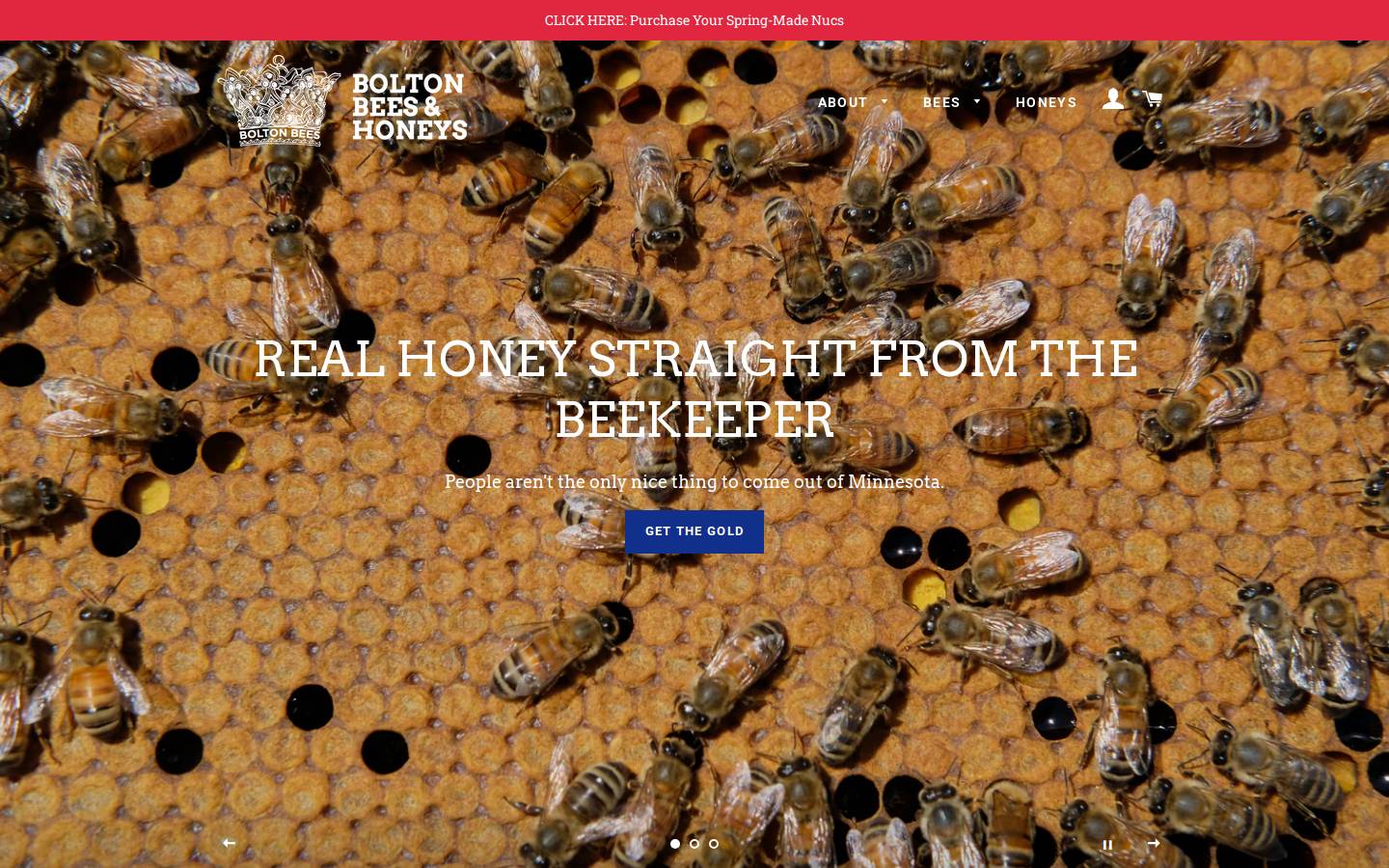 boltonbees.com homepage screenshot