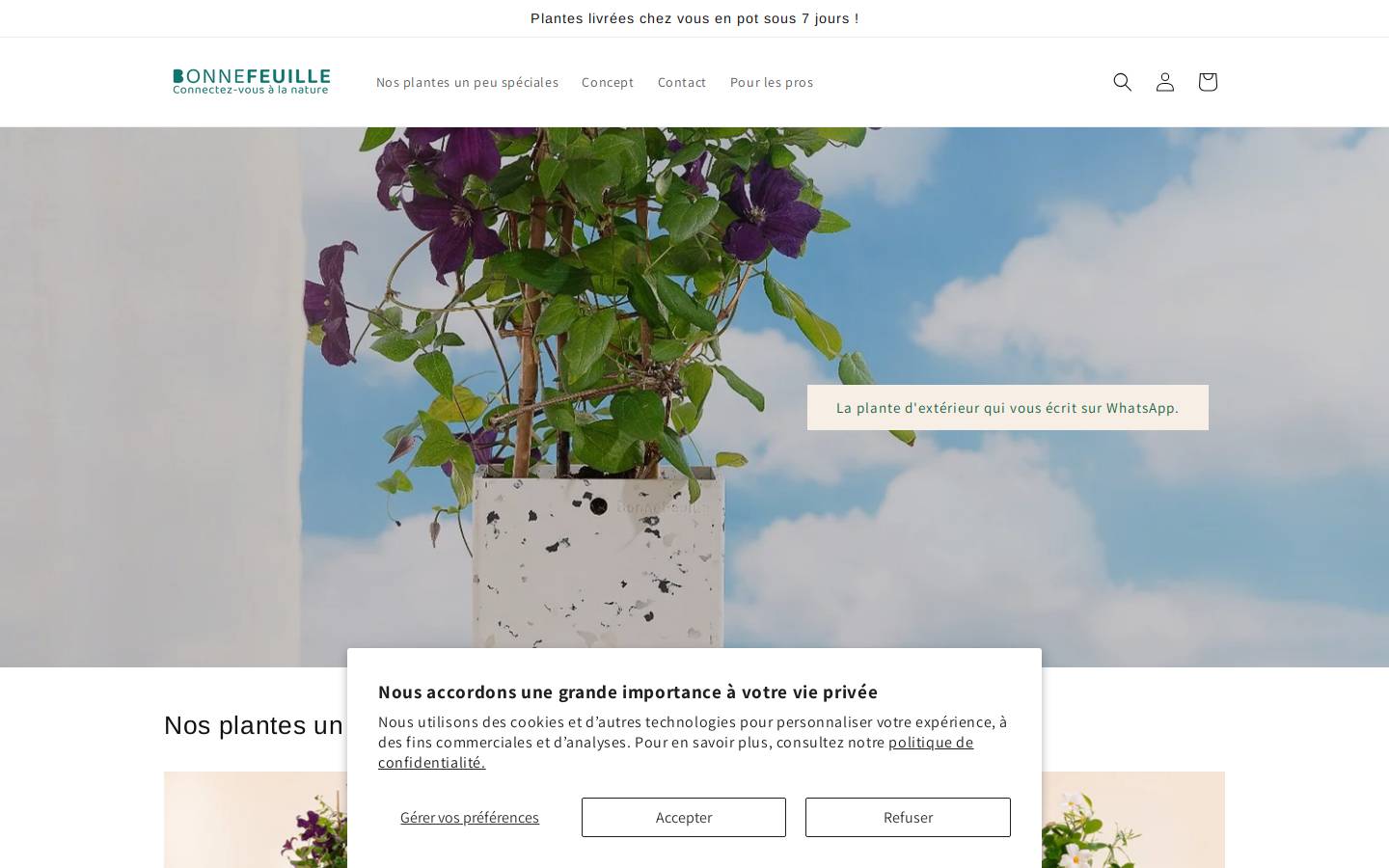 bonnefeuille.com homepage screenshot