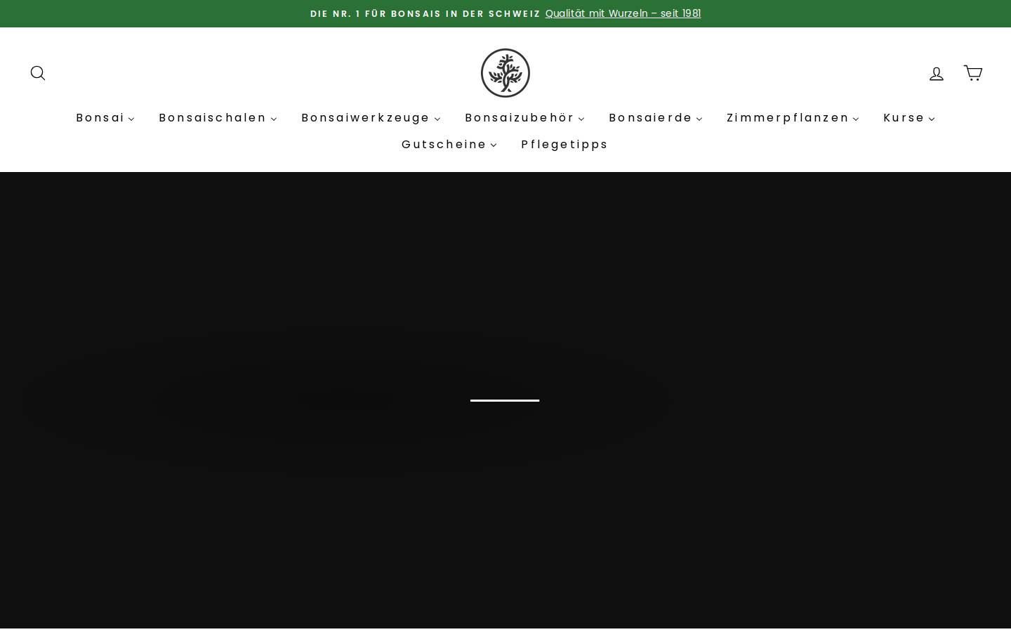 The Xvros Project homepage screenshot