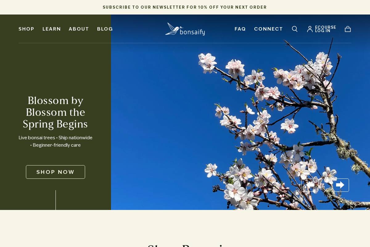 bonsaify.com homepage screenshot