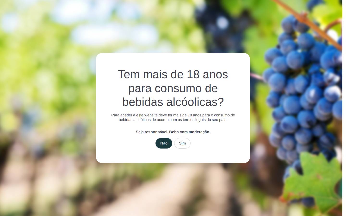 Bons Bagos homepage screenshot