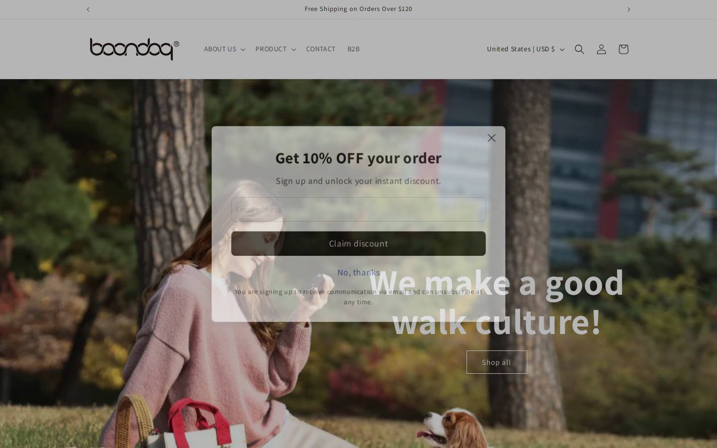 boondogusa.com homepage screenshot