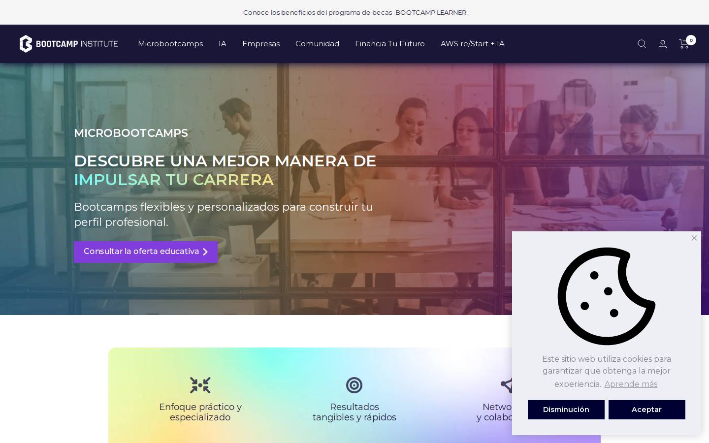 bootcamp-institute.us homepage screenshot