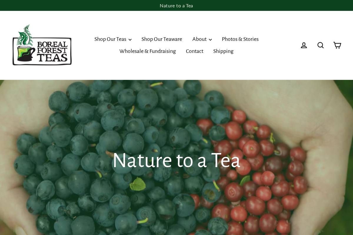 borealforestteas.ca homepage screenshot