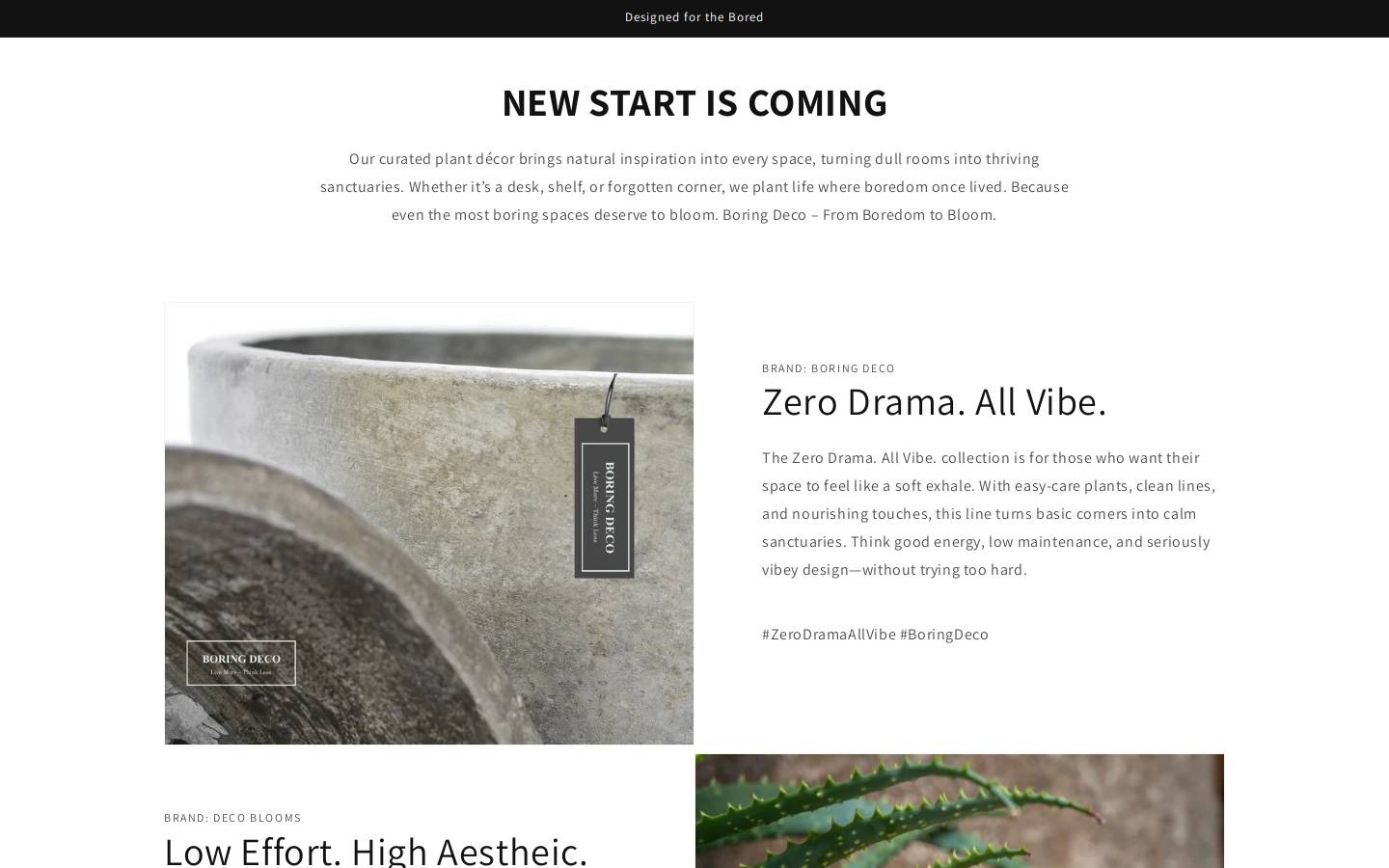 boringdeco.com homepage screenshot