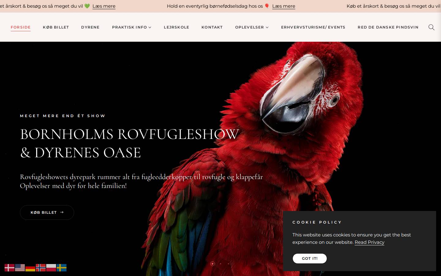 Bornholmsrovfugleshow homepage screenshot