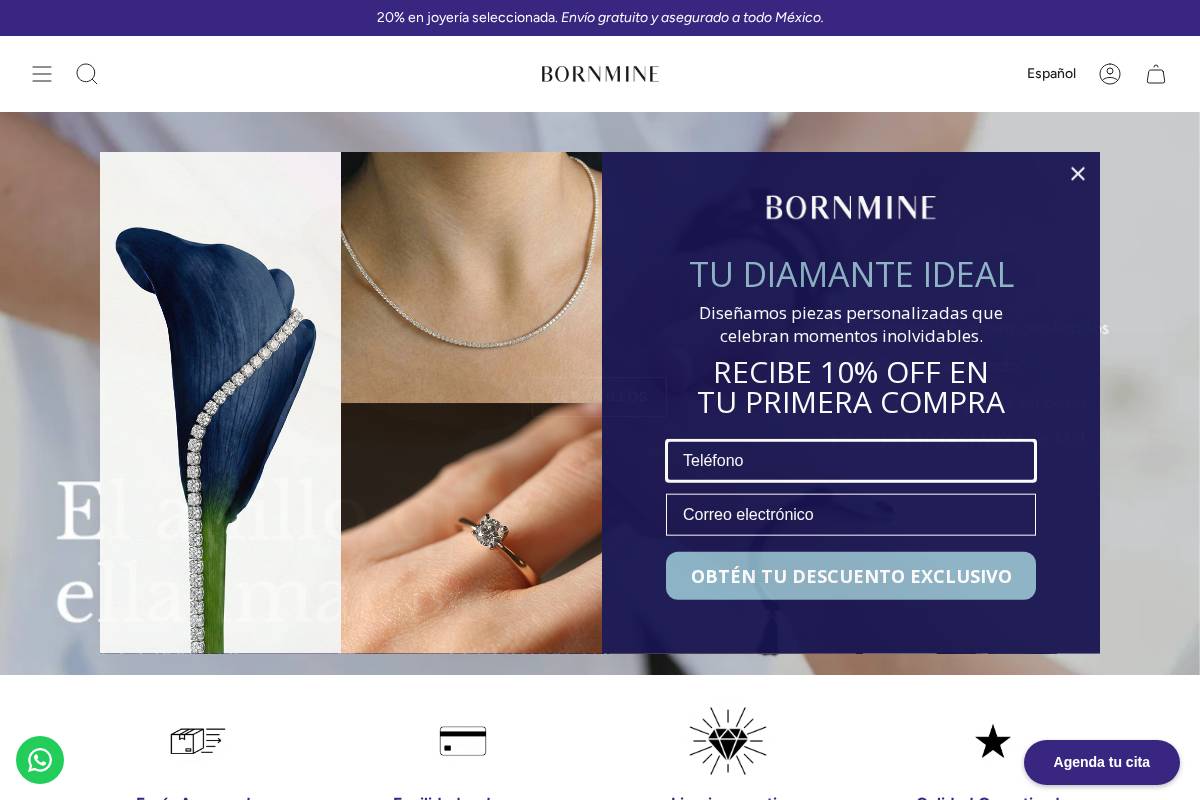 bornmine.com homepage screenshot