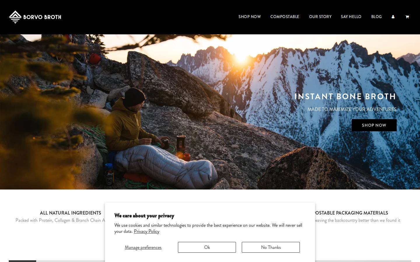 borvobroth.com homepage screenshot