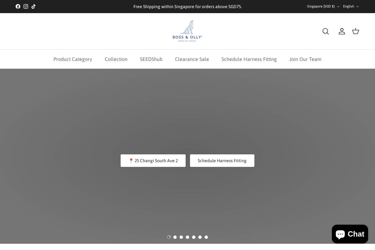 bossandolly.com homepage screenshot