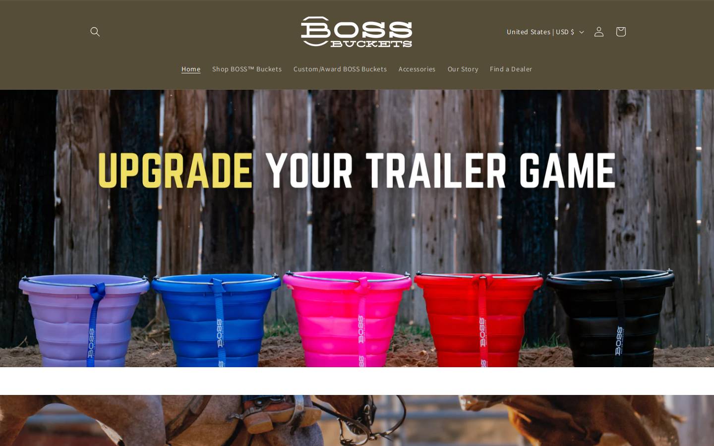 bossequineproducts.com homepage screenshot