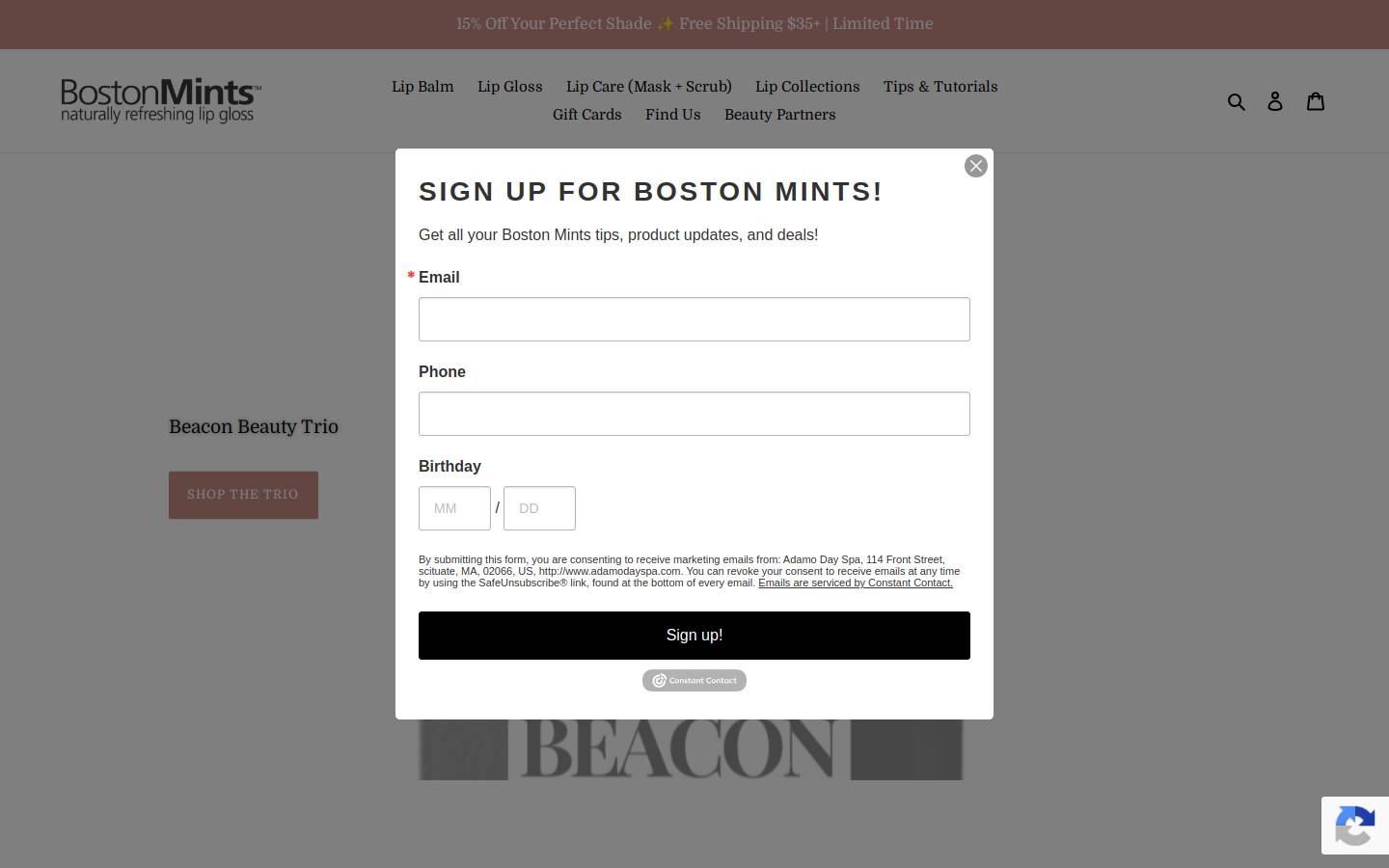 bostonmints.com homepage screenshot