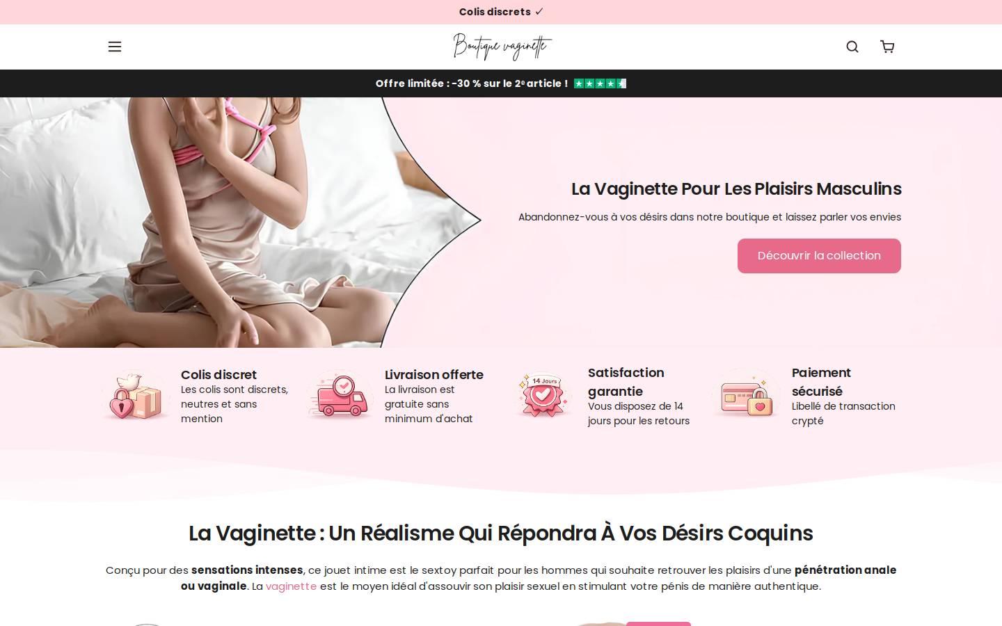 boutique-vaginette.com homepage screenshot