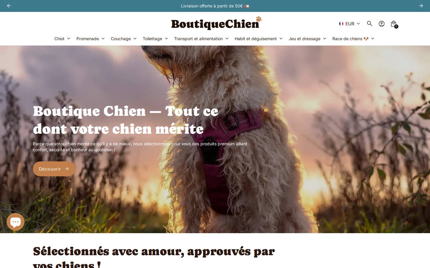 Boutiquechien homepage screenshot