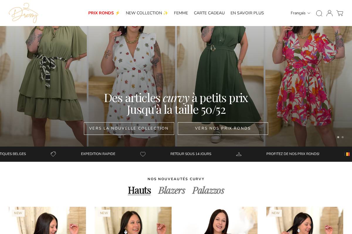 Boutique Dressy  homepage screenshot
