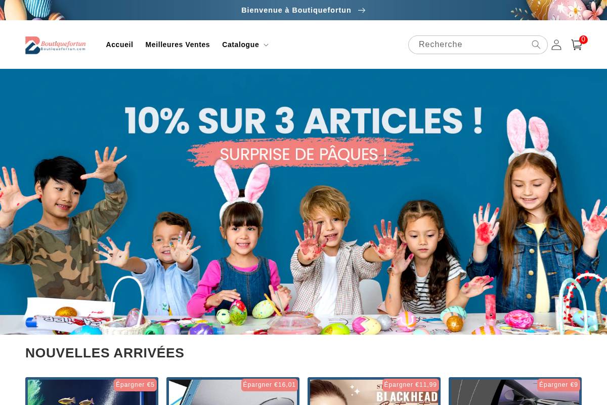 Boutiquefortun homepage screenshot