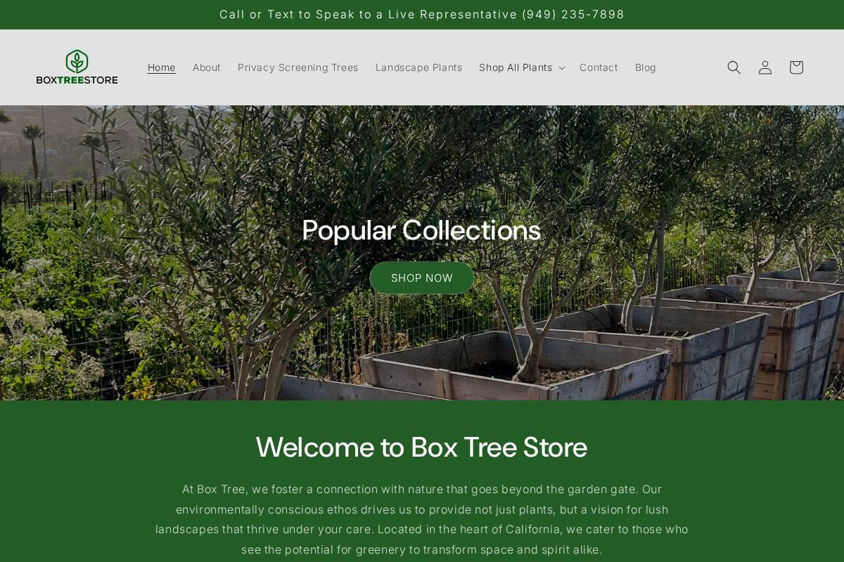boxtreestore.com homepage screenshot