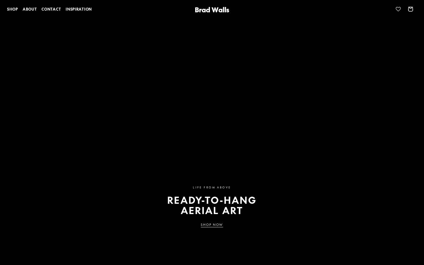 bradscanvas.com homepage screenshot