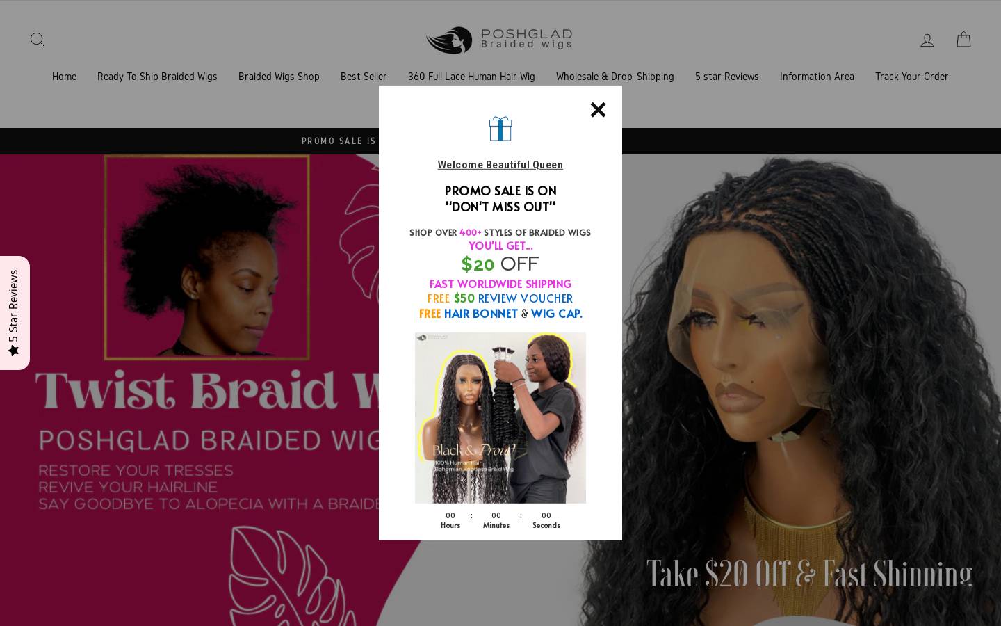 braidedwig.net homepage screenshot