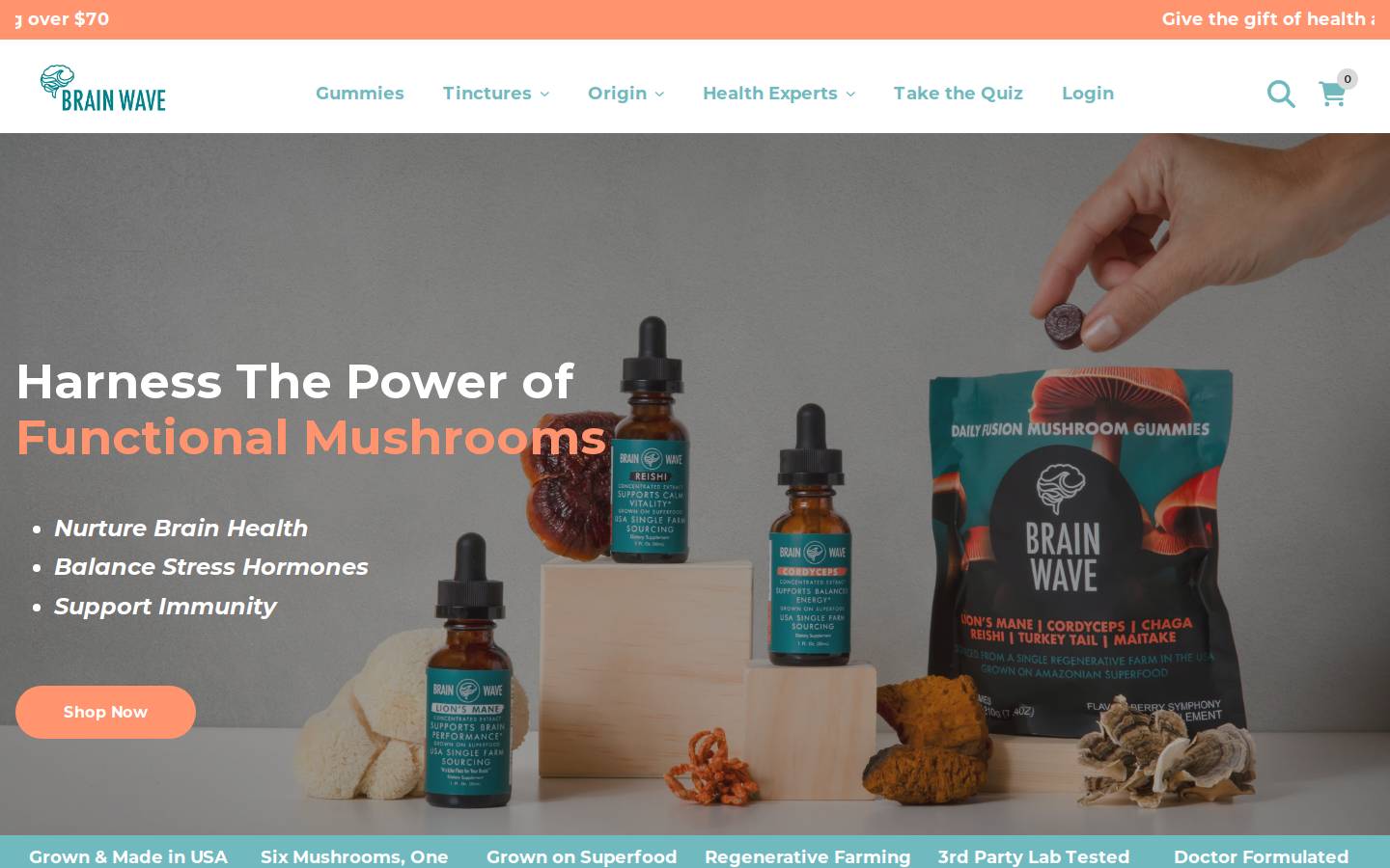 brainwaveusa.com homepage screenshot