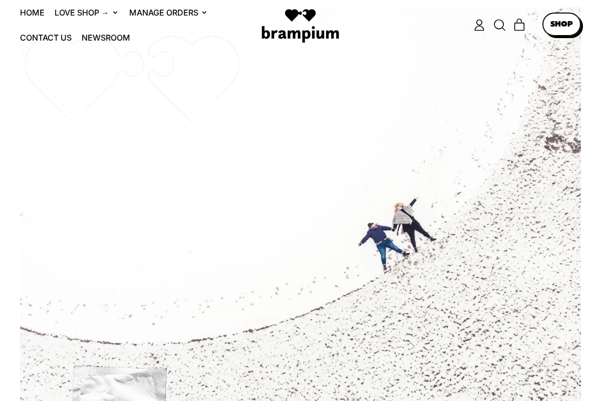 brampium homepage screenshot