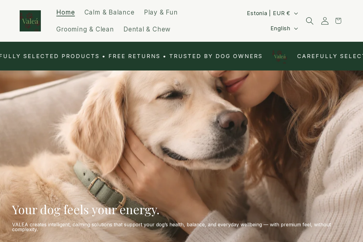 Valea homepage screenshot