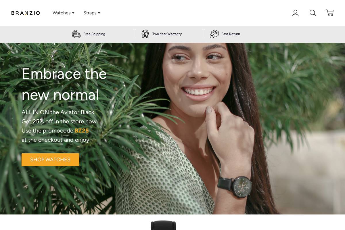 branzio.com homepage screenshot