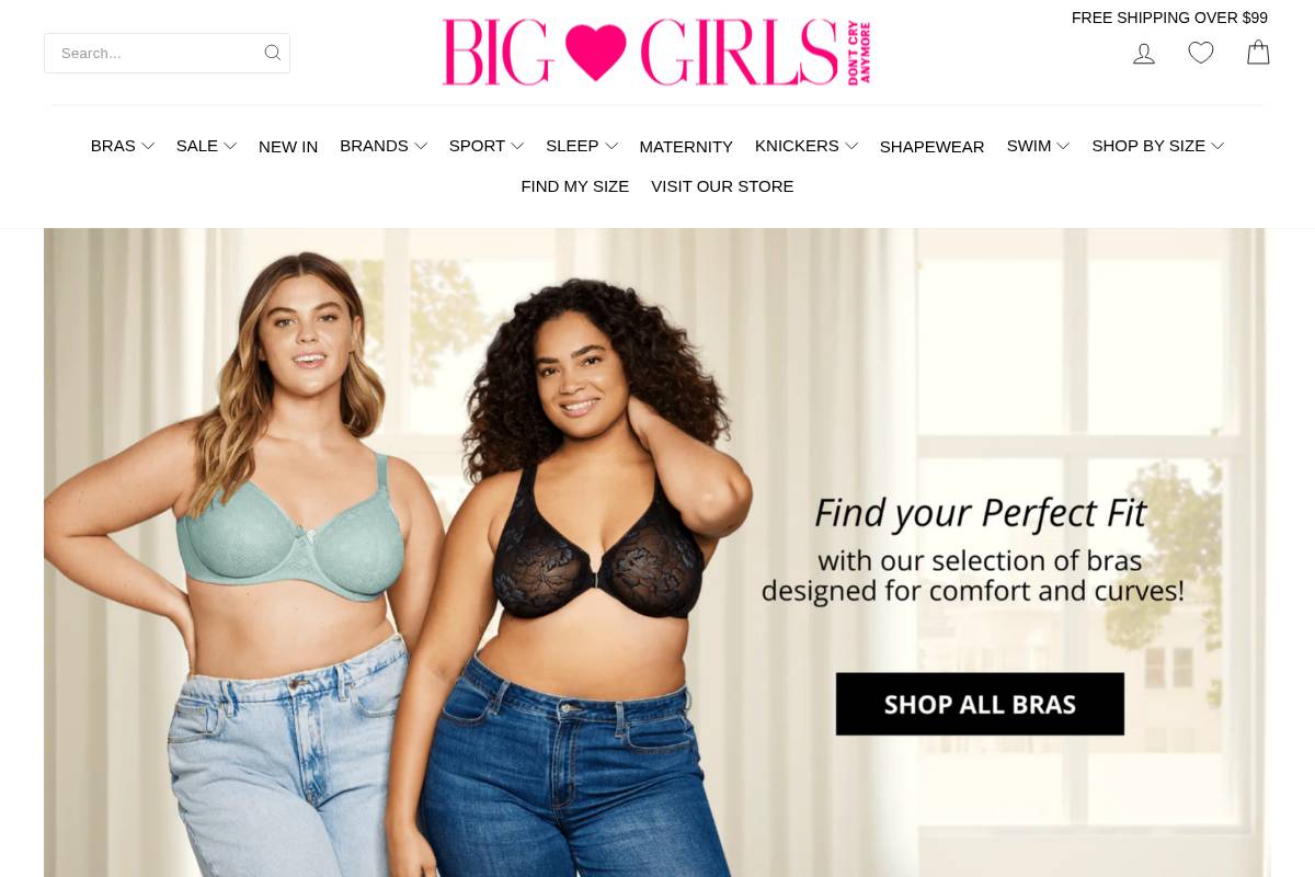 Big Girls Don't Cry Anymore homepage screenshot