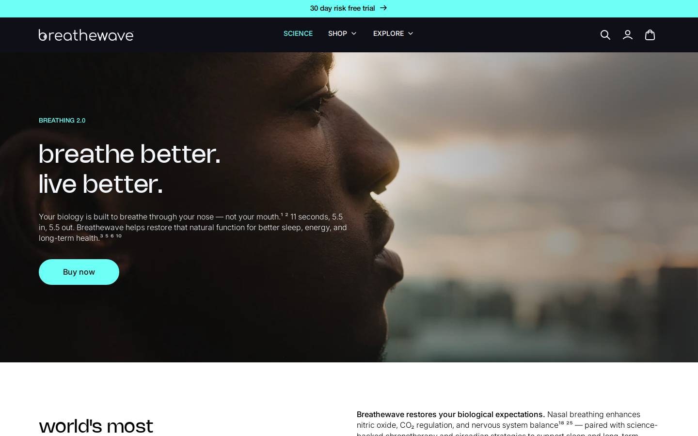 breathewave homepage screenshot